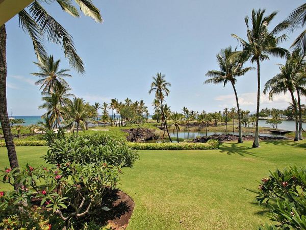 Kohala Coast Condo 967053