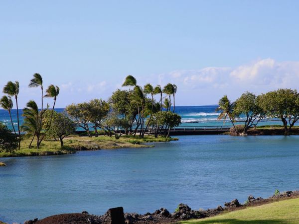 Kohala Coast Condo 967056