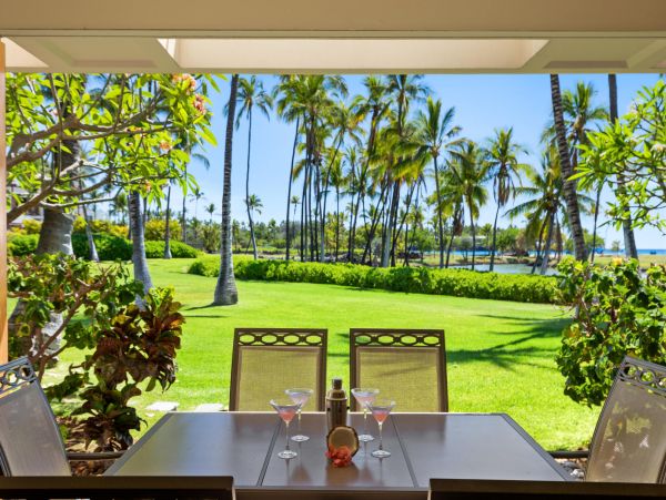 Kohala Coast Condo 967058