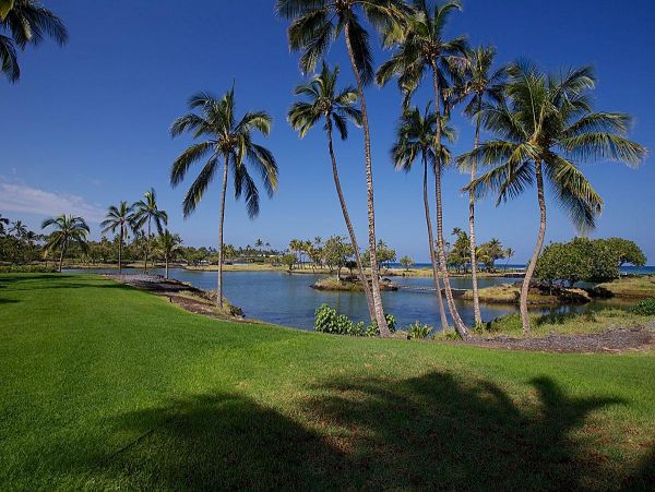 Kohala Coast Condo 967058