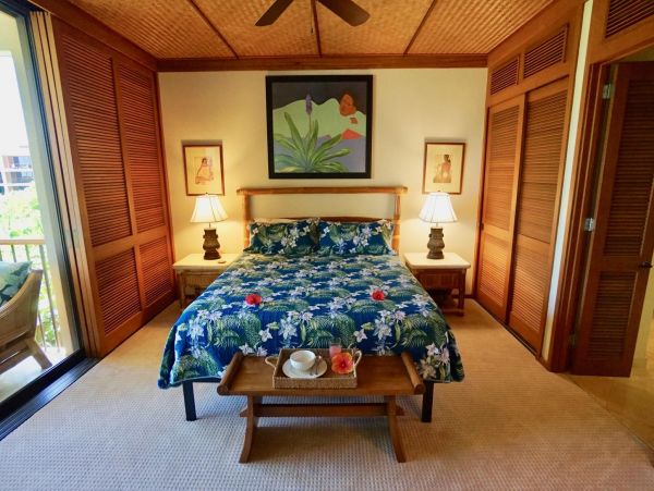 Kohala Coast Condo 967064