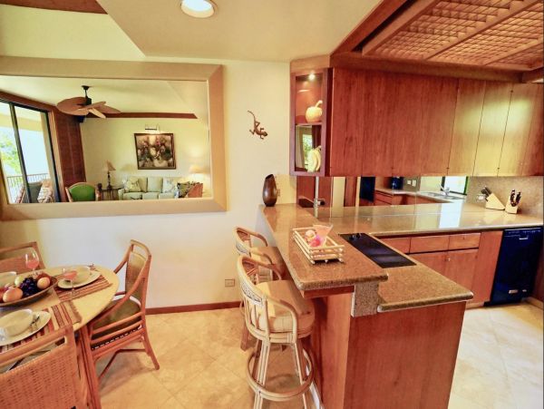Kohala Coast Condo 967064