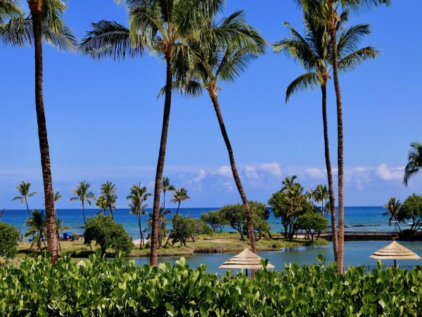 Kohala Coast Condo 967064