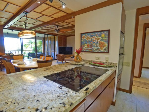 Kohala Coast Condo 967073