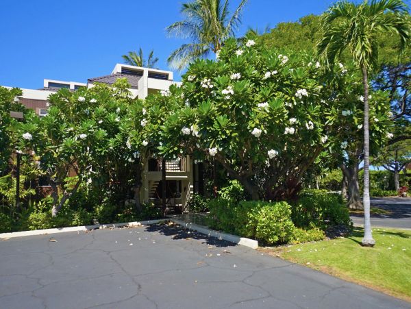 Kohala Coast Condo 967073