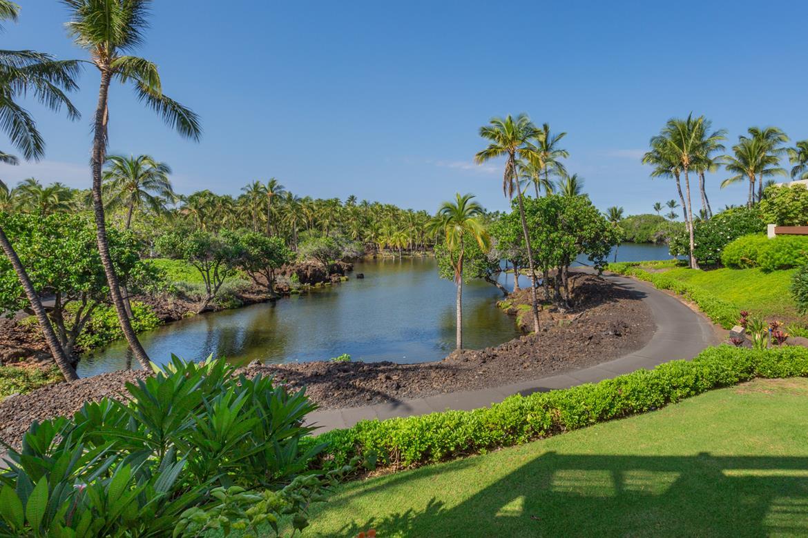 Kohala Coast Condo 967073