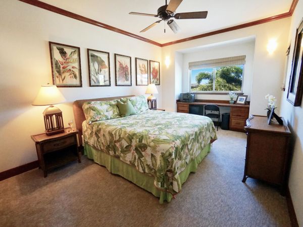 Kohala Coast Home 967082