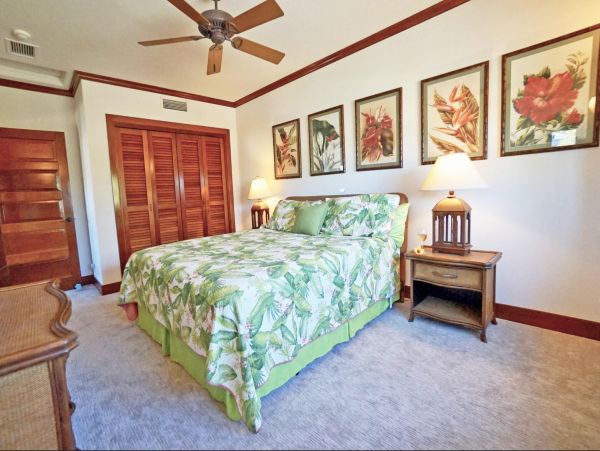 Kohala Coast Home 967082