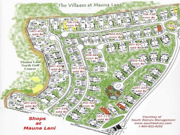 Kohala Coast Home 967082