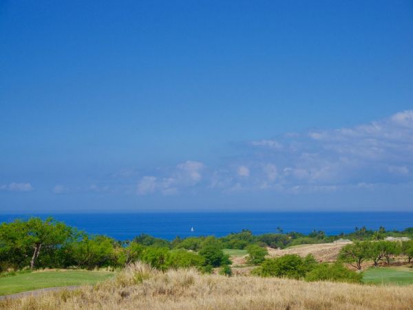 Kohala Coast Condo 967087
