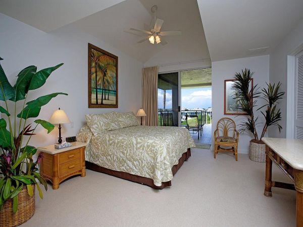 Kohala Coast Condo 967089