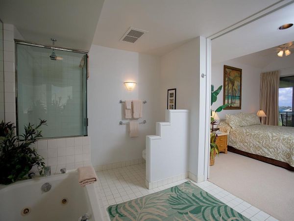 Kohala Coast Condo 967089