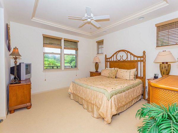 Kohala Coast Home 967095