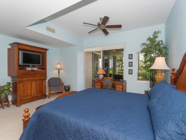 Kohala Coast Condo 967099