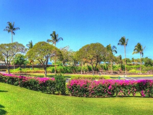 Kohala Coast Condo 967100