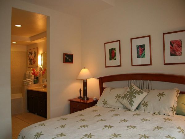Kohala Coast Home 967101