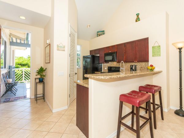 Kohala Coast Condo 967105