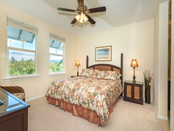 Kohala Coast Condo 967105