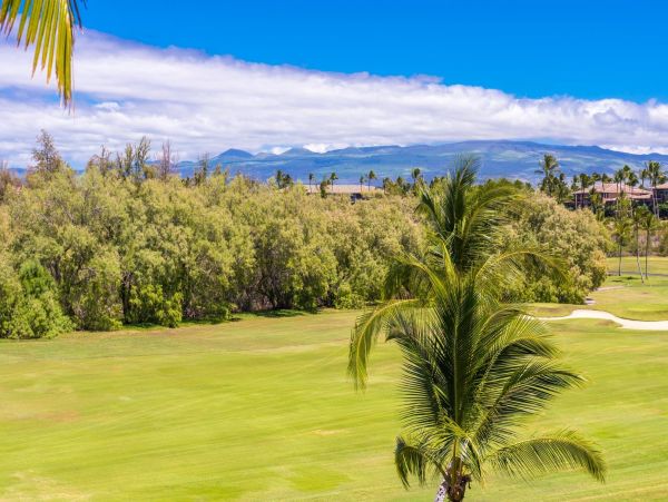 Kohala Coast Condo 967105