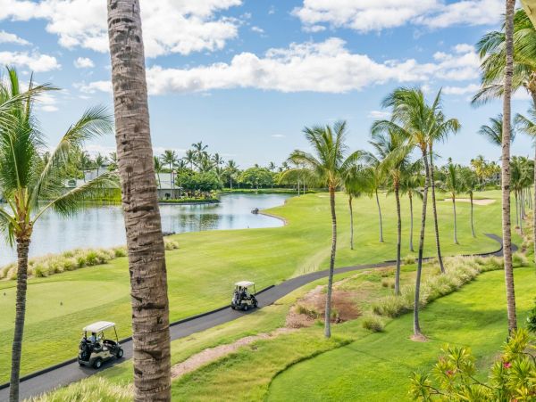 Kohala Coast Condo 967106
