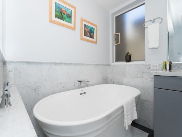 Kohala Coast Condo 967113