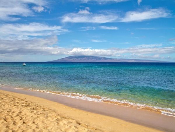 Luxury Maui Six Bedroom Splendor