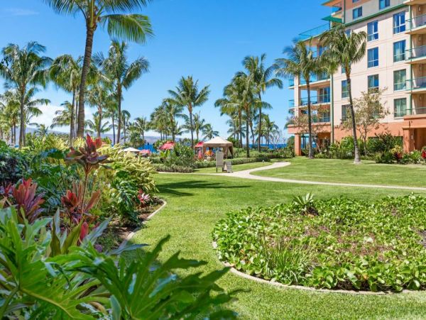 Suite Paradise
