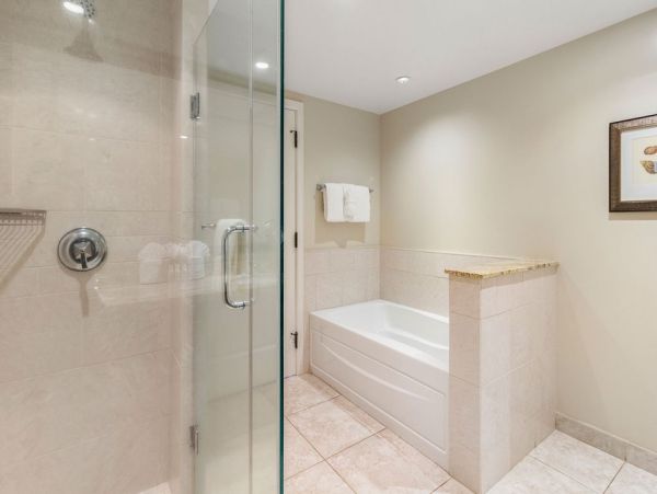 Luxury 4 bedroom Condo with Ocean View in Kaanapali