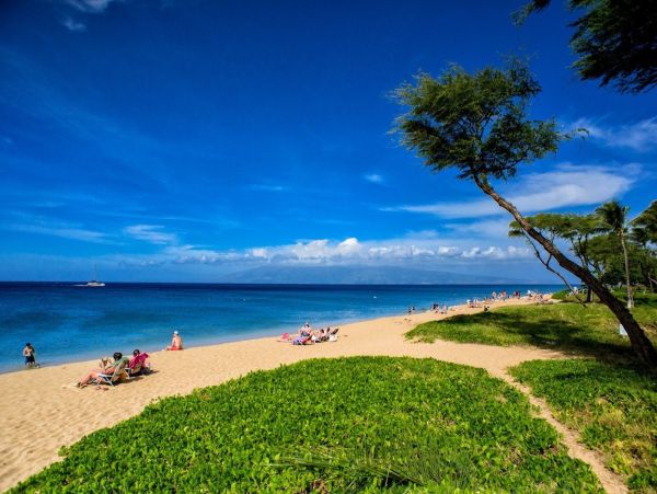 Maui Oceanfront Vacation Rental  Kaanapali Luxury Villa with Ocean Views
