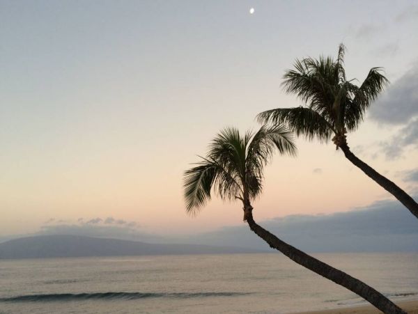 Kaanapali Condo 967214