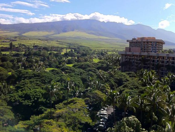 Kaanapali Condo 967216