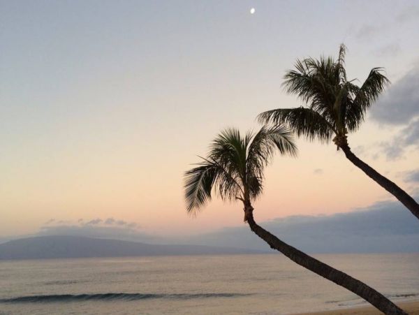 Kaanapali Condo 967227