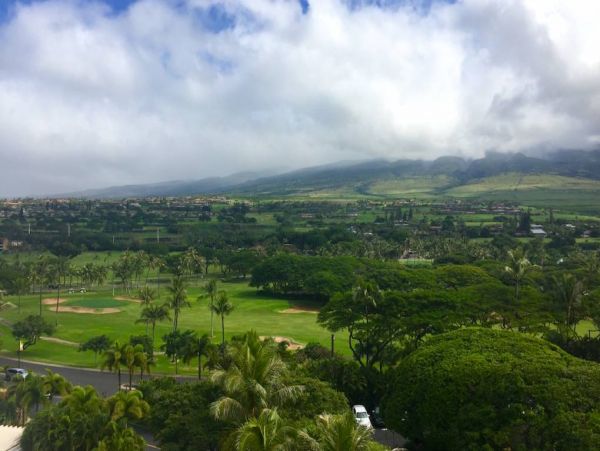 Kaanapali Condo 967233