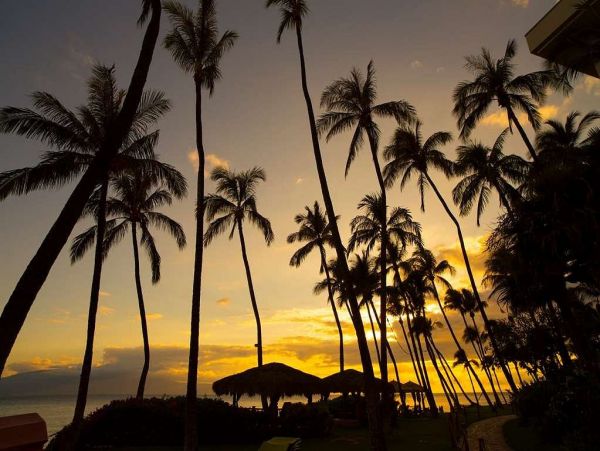 Beachfront 3 Bedroom Condo with Full Ocean View