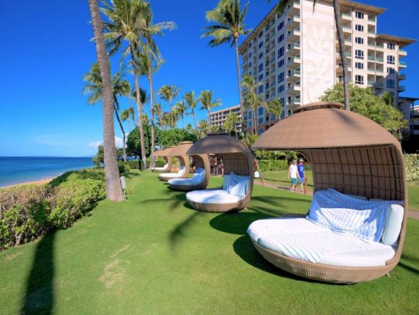 Beachfront 3 Bedroom Condo with Full Ocean View