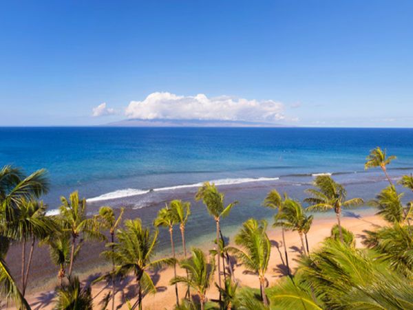 Kaanapali  Maui Condo 967235