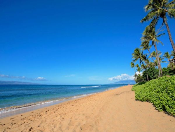 Kaanapali Condo 967239