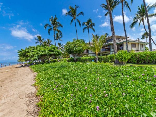Beachfront  Maui  Three Bedroom Vacation Condo with Full Ocean Views