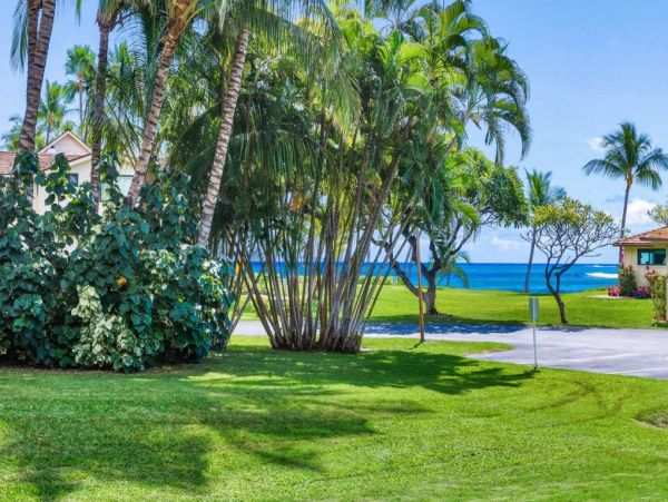 Lahaina Condo 967257