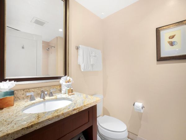 Mountain View One Bedroom Kaanapali Vacation Rental
