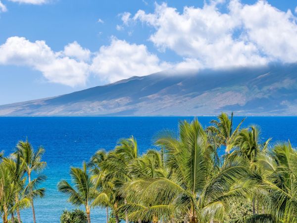 Gorgeous 3 Bedroom Condo with Balcony & Ocean Views