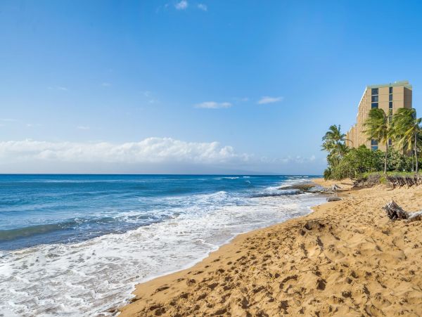 Gorgeous 3 Bedroom Condo with Balcony & Ocean Views