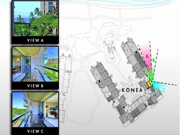 Kaanapali Condo 967323