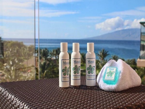 Kaanapali Condo 967338
