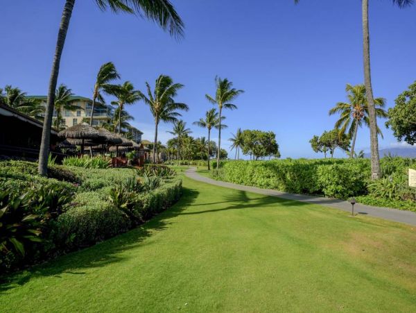 Kaanapali Condo 967340