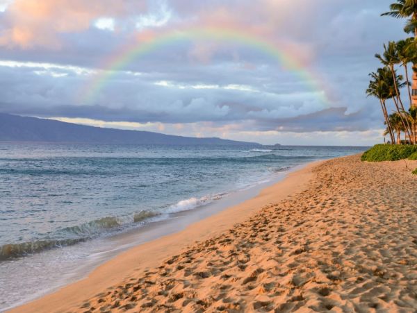 Beautiful Kaanapali Vacation Condo Beachfront with Pool
