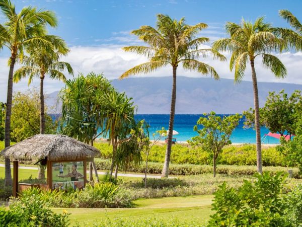 Beautiful Kaanapali Vacation Condo Beachfront with Pool