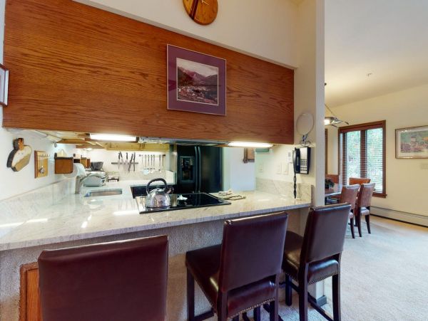 Ski In-Ski Out Mountain Views Vail Vacation Condo 2 Bedroom