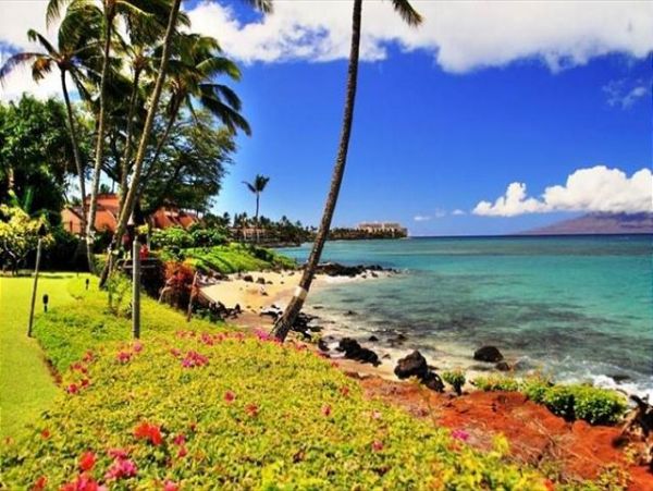 Kaanapali Condo 967367