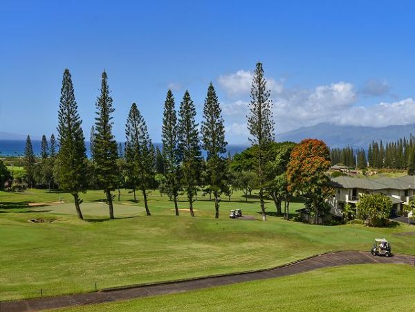 Kapalua Condo 967368